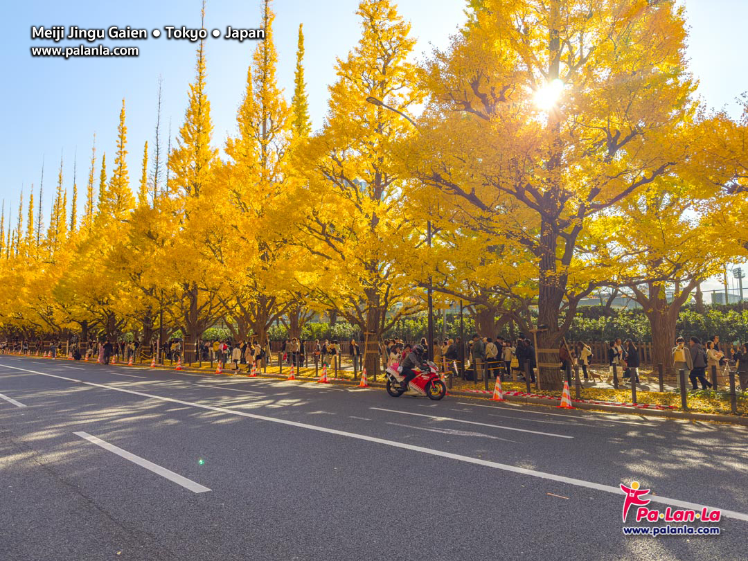 Meiji Jingu Gaien